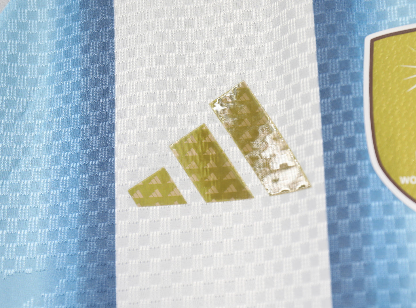 Argentina Home Kit 26/27 Player Edition